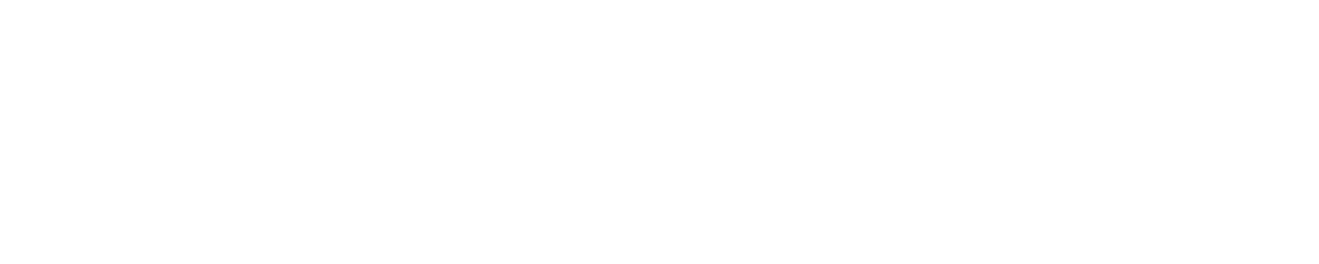oneprompt